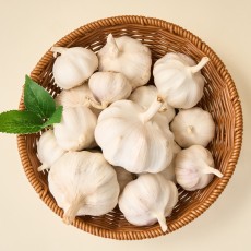 25년 대서마늘 햇마늘 마늘 국산 통마늘 1kg (중) 산지직송/백색 마늘망 사은품 증정